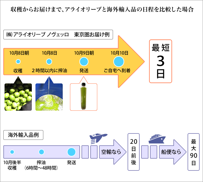 収穫からお届けまで、アライオリーブと海外輸入品の日程を比較した場合