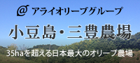 アライグループ　小豆島・三豊地区農場　35haを超える日本最大のオリーブ農場
