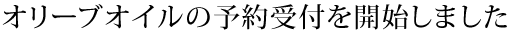 オリーブオイルの予約受付を開始しました